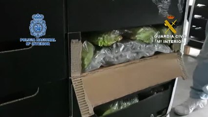 Marihuana entre lechugas