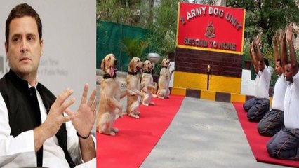 Rahul Gandhi ने International Yoga Day का उड़ाया मजाक, BJP Leaders का मिला करारा जवाब|वनइंडिया हिंदी