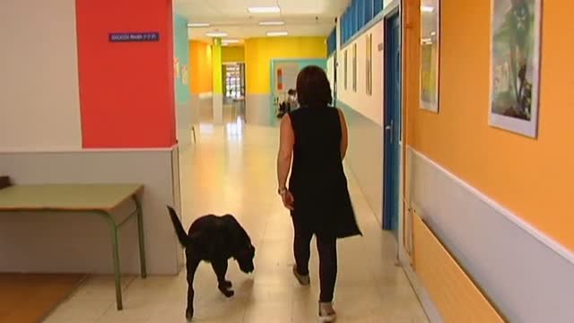 La emotiva historia de Connor, el profesor de cuatro patas que conmueve a los niños