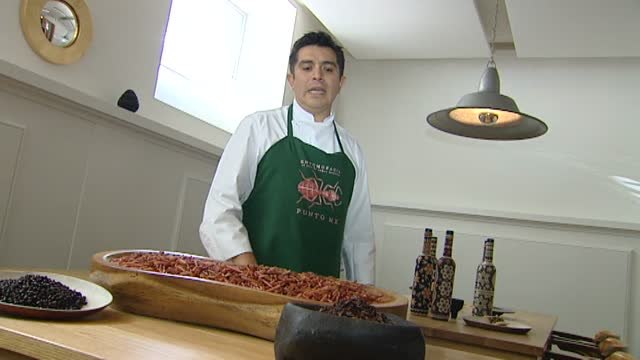 El arte de comer insectos