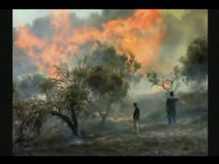 Les anges pleurent sur la terre de Palestine...