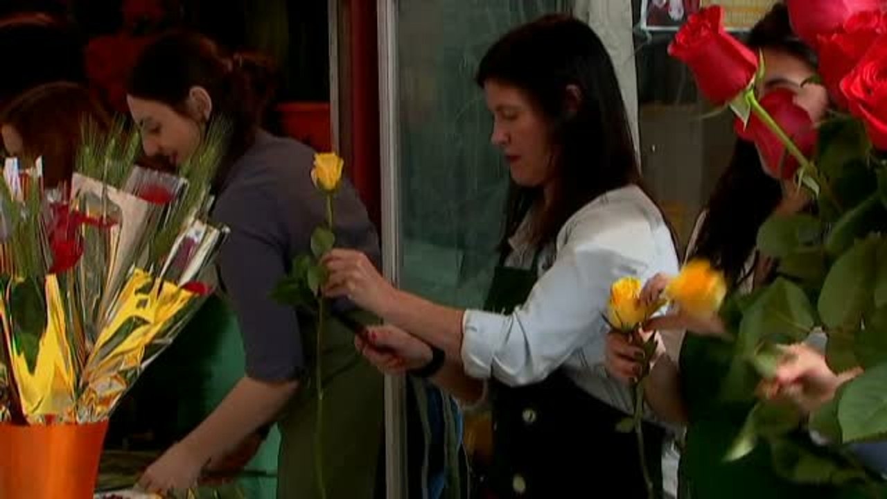 Las rosas amarillas, protagonistas de Sant Jordi