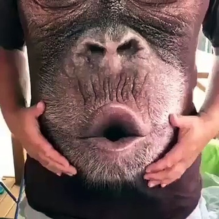 funny Mix - Camisa 4D