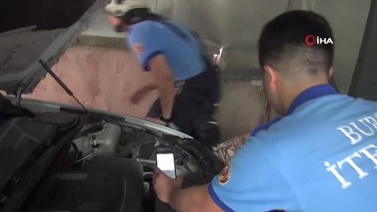 Arabaya giren yavru kedi gurbetçi aileye zor anlar yaşattı