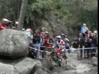 Best of Toni Bou