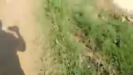 El Ebro amenaza a la Ribera Baja de Zaragoza