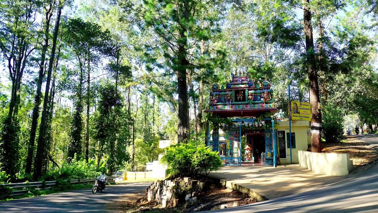 Kolli Hills Rollerblading June 2019