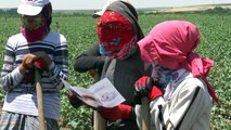 Mevsimlik işçiler jandarmanın takibinde - DİYARBAKIR