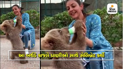 'સિંઘમ'ની એક્ટ્રેસે દુબઈમાં પ્રાણીઓ સાથે બર્થડે ઉજવ્યો