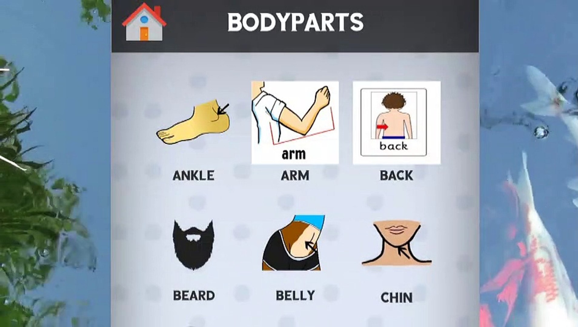 ⁣Learning Body parts With Pictures And Sounds For Kids