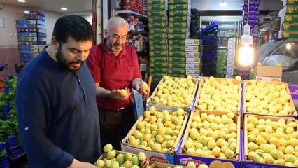 Malatya kayısısı tezgahlara indi - MALATYA