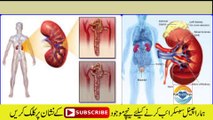 How to Treat a Kidney Infection || Symptoms of Kidney Disease || جانیئے جدید معلومات