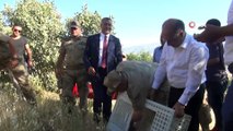 - Şırnak’ta doğaya 2 bin keklik salındı