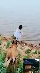Cute dog saved the life of girl see this video