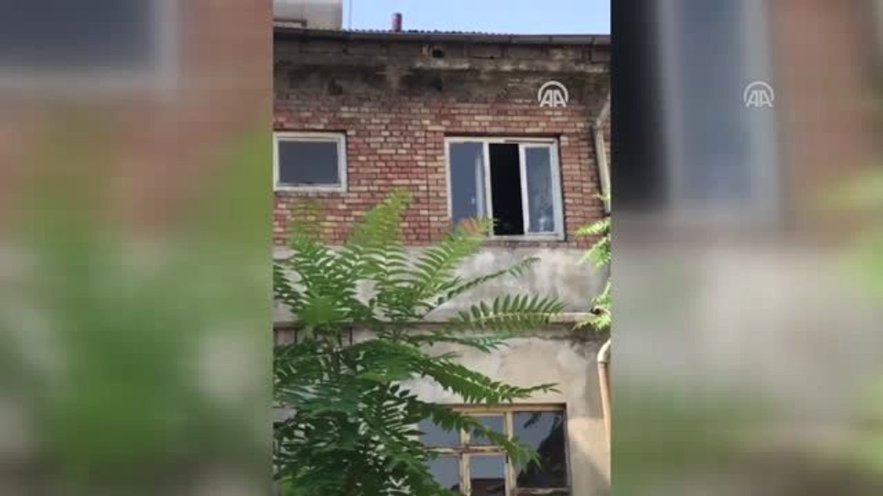 Anne karga, yavrusunu kurtaran itfaiye erine saldırdı - SİİRT