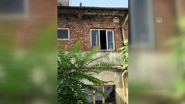 Anne karga, yavrusunu kurtaran itfaiye erine saldırdı - SİİRT