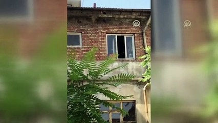 Anne karga, yavrusunu kurtaran itfaiye erine saldırdı - SİİRT