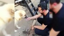 Susayan köpeğe polis şefkati - ŞANLIURFA