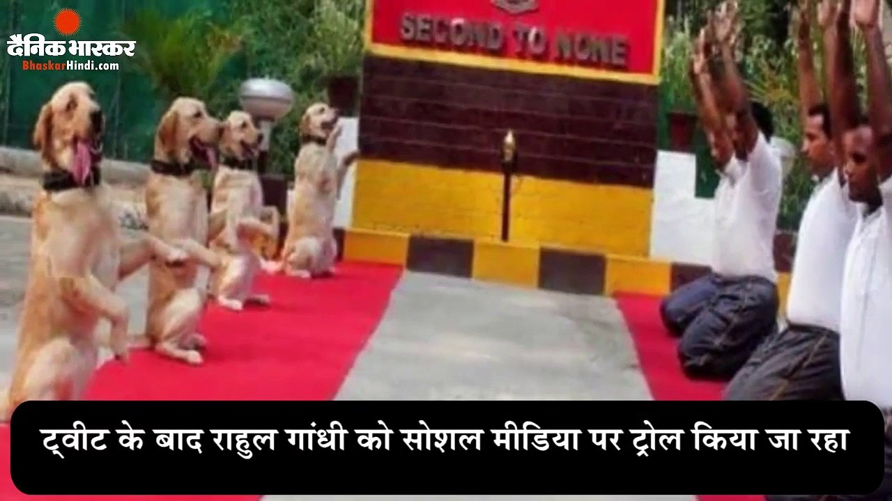 योग दिवस पर ट्वीट कर फंसे राहुल...