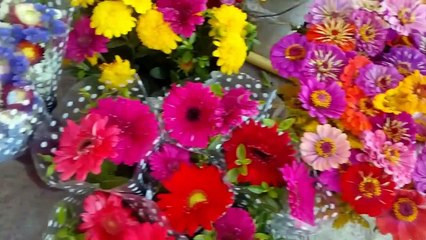 5 tricks for beautiful and healthy flowers