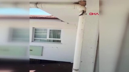 GAZİANTEP İtfaiye çatıda sıkışan kırlangıcı kurtardı