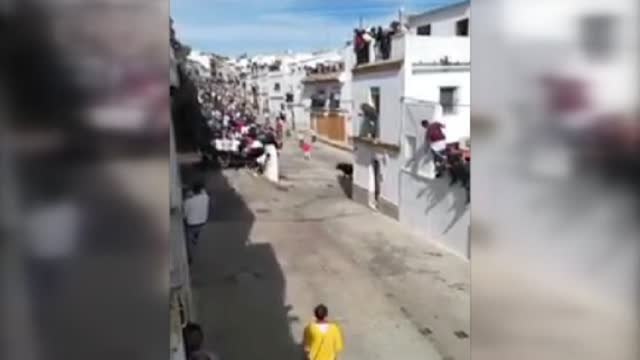 Fallece un hombre corneado por un toro en Arcos de la Frontera
