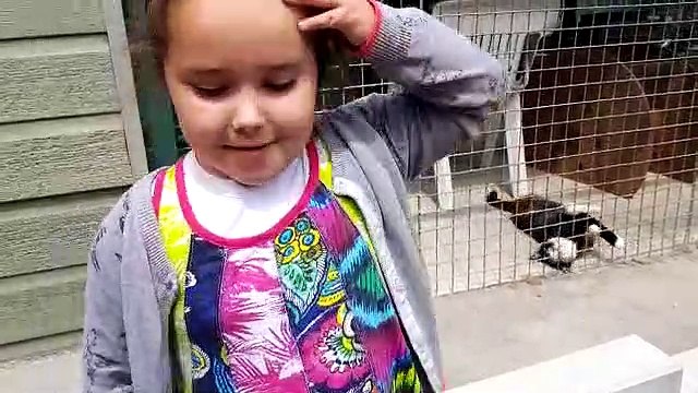 Lilou veut adopter tous les chats abandonnés du monde