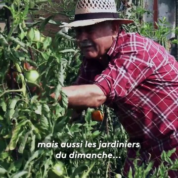 Alerte sur la privatisation des semences de fruits et légumes