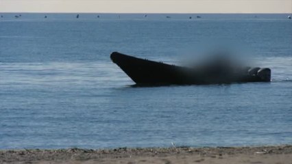 La Línea, ciudad de narcos