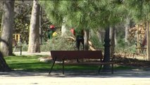 Cinco parques en Madrid permanecen cerrados