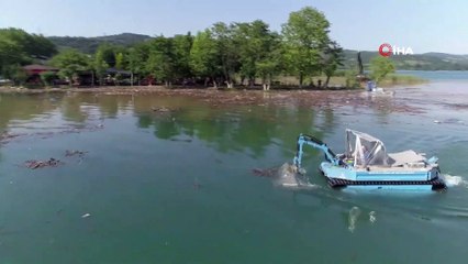Selde sürüklenen tonlarca ağaç Sapanca Gölü'nde toplandı