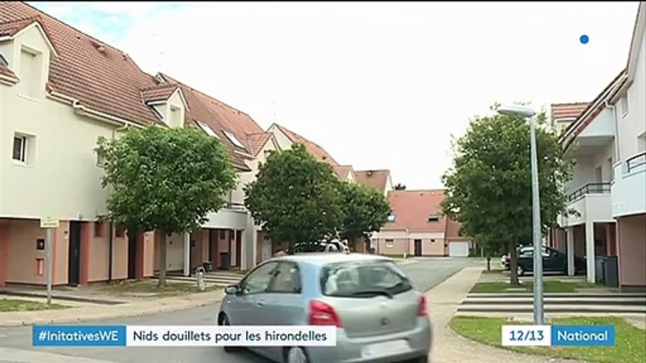 Environnement : des nids d'hirondelles sauvés d...