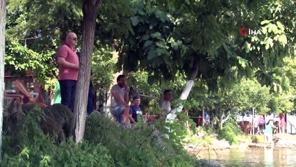 Selden dolayı tonlarca ağaç Sapanca Gölüne sürüklendi