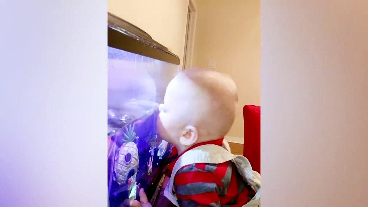 A Baby Plays with Fishes in Aquarium