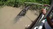 Ces touristes croisent un crocodile monstrueux dans les marais de floride