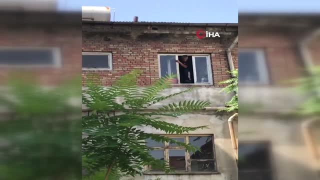 Yavru kargayı kurtarmaya çalışan itfaiye ekipleri anne karganın saldırısına uğradı