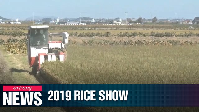 Rice exhibition held in Seoul to find ways to use unconsumed rice