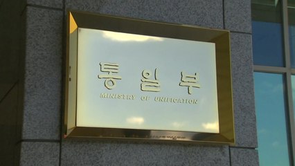 통일부 "한미정상회담 전 남북정상회담 바람직" / YTN