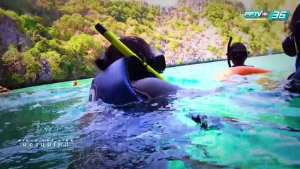 Bird’s Eye View - ท้องทะเลอันดามัน…เพชรเม็ดงามแห่งมหาสมุทรอินเดีย (1/3)