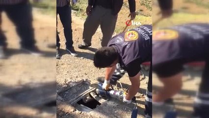 Betonu delip yavru köpekleri böyle kurtardılar