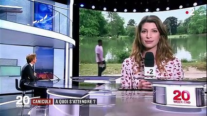 Canicule : pic de chaleur attendu jeudi et vendredi