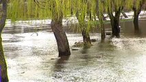 Las fuertes lluvias dejan los campos anegados y pérdidas millonarias a los agricultores