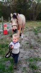 A Little Kid Walking his Baby Horse
