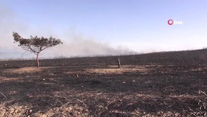 Yakılan anızlar doğal hayatı tehdit ediyor