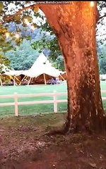 QUE NO VAN DE COLOR NUDE, QUE VAN DE COLOUR NUDE, QUE ES UNA FIRMA XD