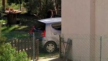 Aparece el cadáver de Gabriel en el maletero de un coche en Almería