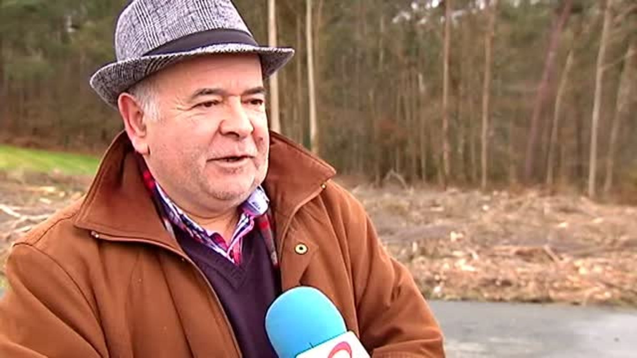 Nuevas ayudas del Gobierno para el alquiler y la compra de vivienda