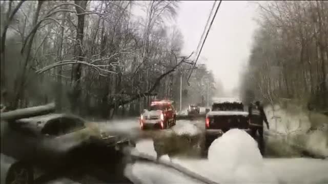 Ilesos de milagro unos bomberos tras precipitarse un árbol sobre su coche