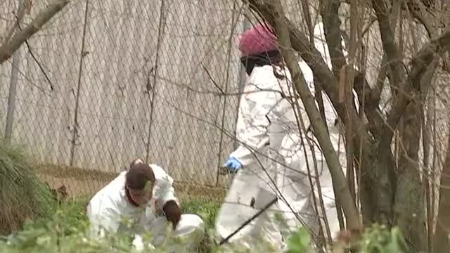 Los Mossos d'Esquadra registran el huerto del tío del presunto asesino de Susqueda