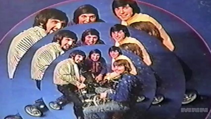 Wild Record Collection #5